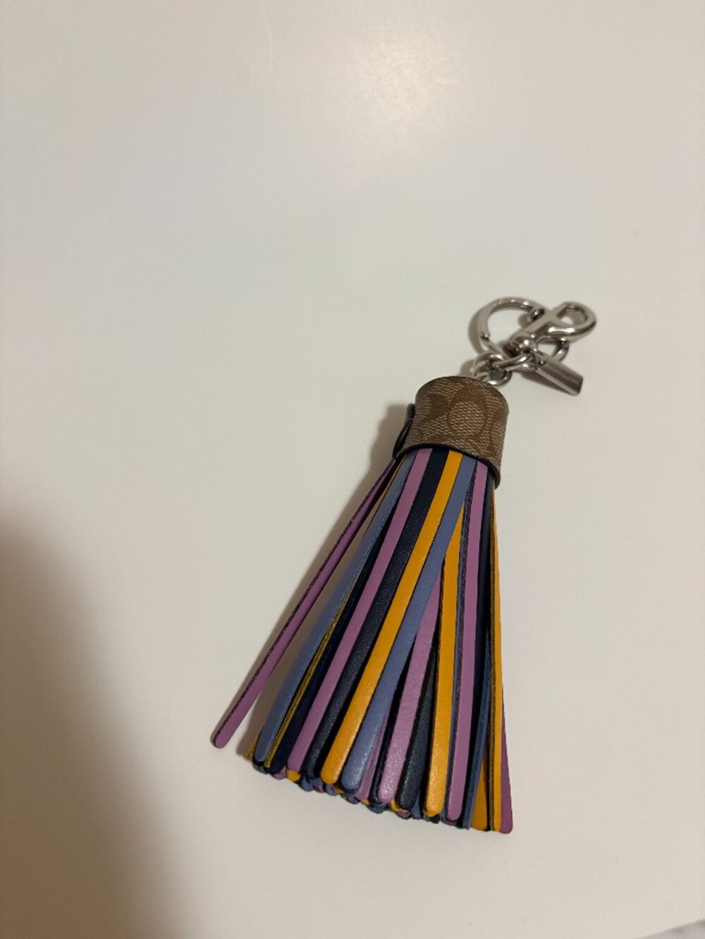 Coach Colorblock Signature Canvas Leather Tassel Bag Charm Keychain